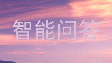 智能问答