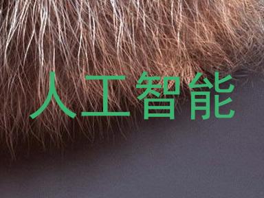 人工智能