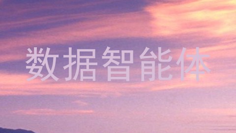 数据智能体