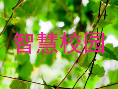 智慧校园