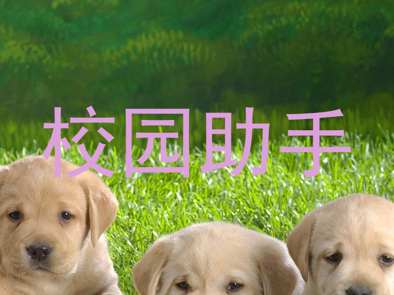 校园助手
