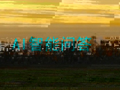 AI智能问答