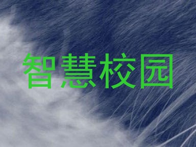 智慧校园