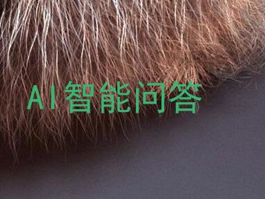 AI智能问答