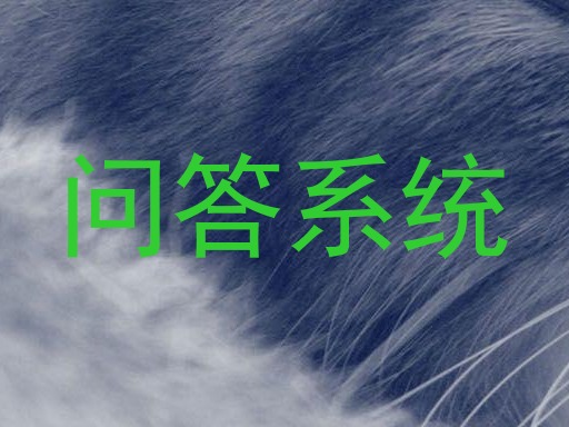 问答系统