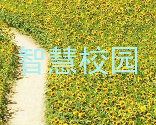 智慧校园