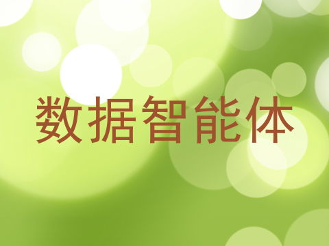 数据智能体