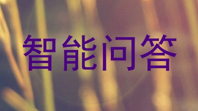 智能问答