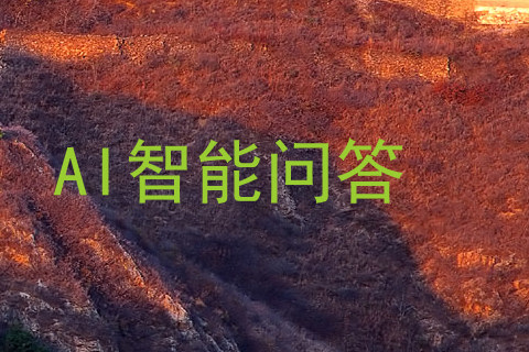 AI智能问答