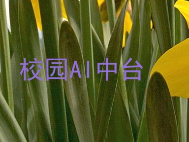 校园AI中台