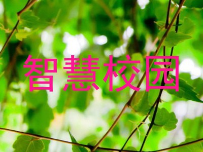 智慧校园