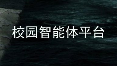 校园智能体平台