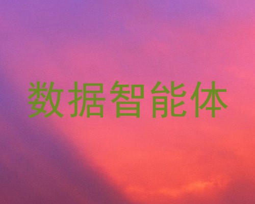 数据智能体