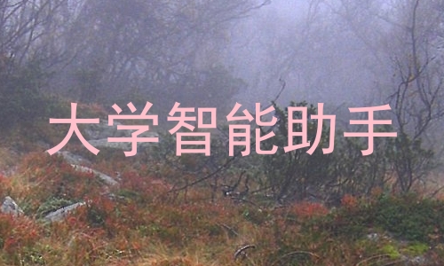 大学智能助手