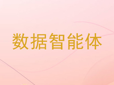 数据智能体