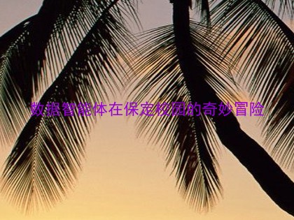 数据智能体在保定校园的奇妙冒险