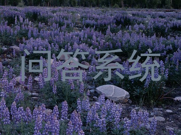问答系统