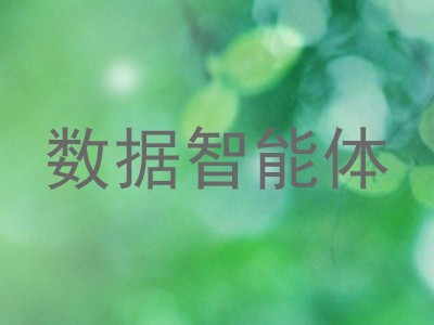 数据智能体