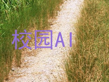 校园AI