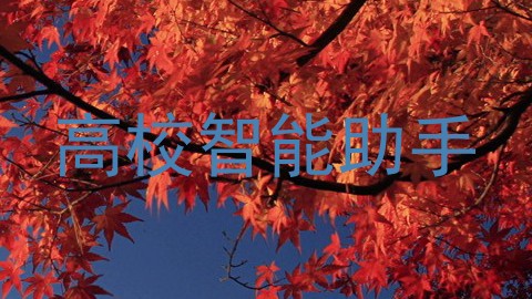 高校智能助手