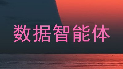 数据智能体