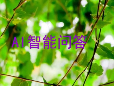 AI智能问答