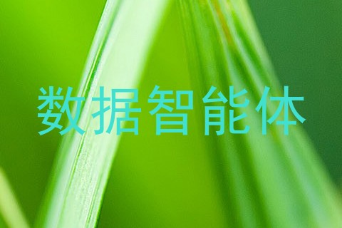 数据智能体