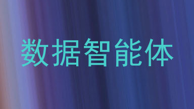 数据智能体