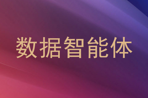 数据智能体