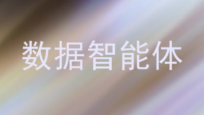 数据智能体