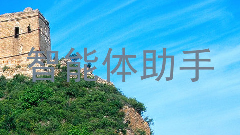 智能体助手