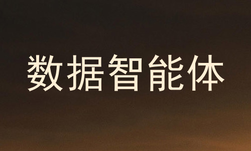 数据智能体
