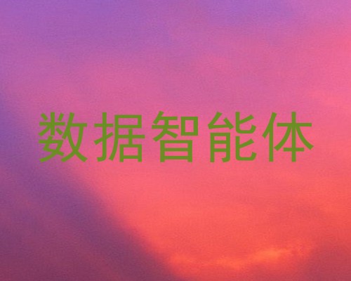 数据智能体