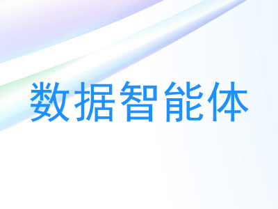 数据智能体