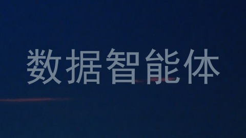 数据智能体
