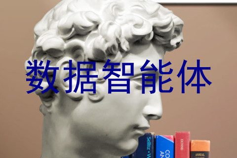 数据智能体