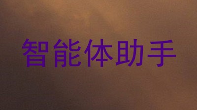 智能体助手