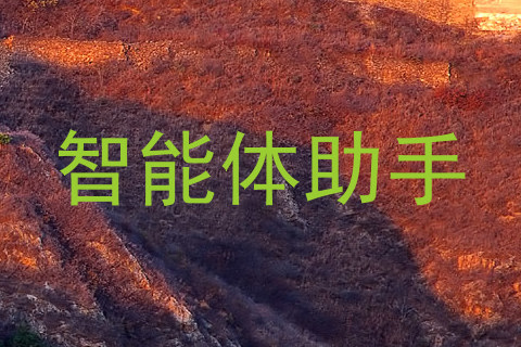 智能体助手