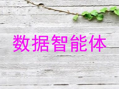 数据智能体