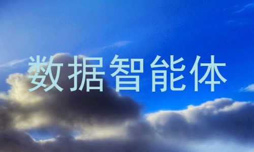 数据智能体