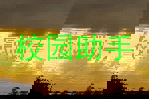 校园助手