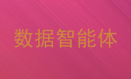 数据智能体