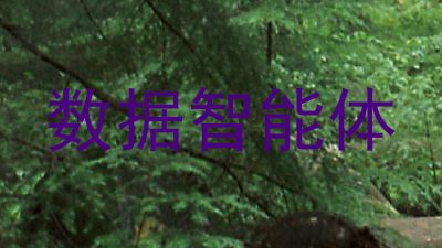 数据智能体