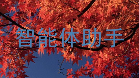 智能体助手