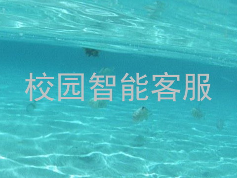 校园智能客服
