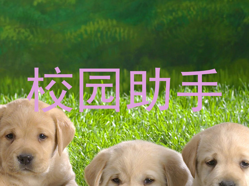 校园助手