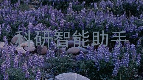科研智能助手