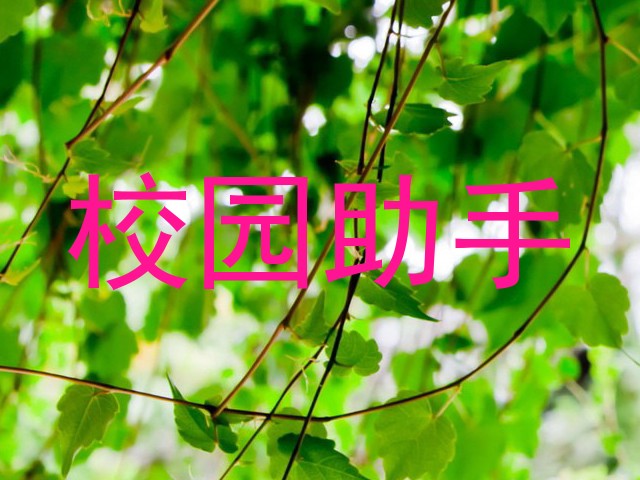 校园助手