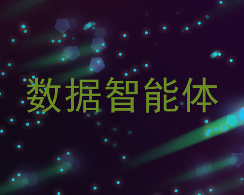 数据智能体