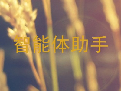 智能体助手
